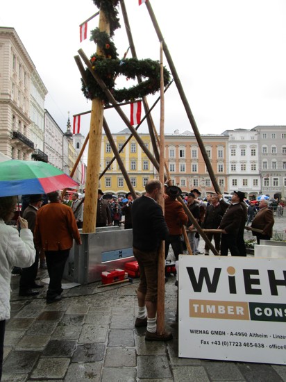 Linzer Maibaum 36.JPG